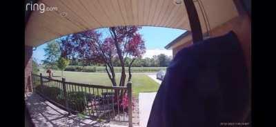 Dumbass tries to break & enter ex's family home. Promptly gets blasted with shotgun blasts by her father