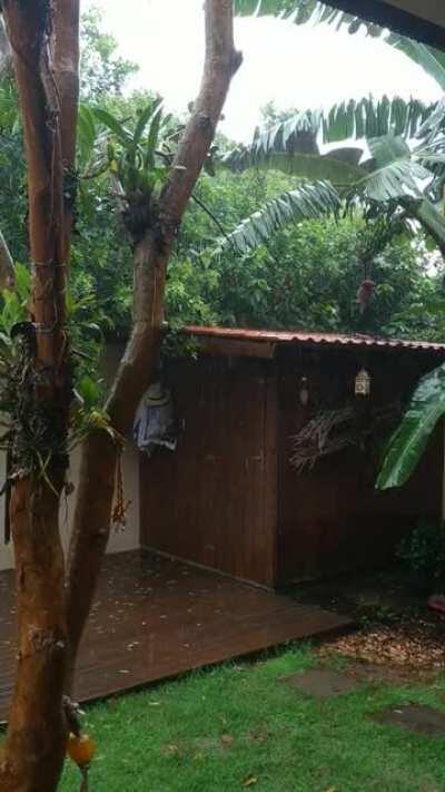 Florianópolis, Brazil