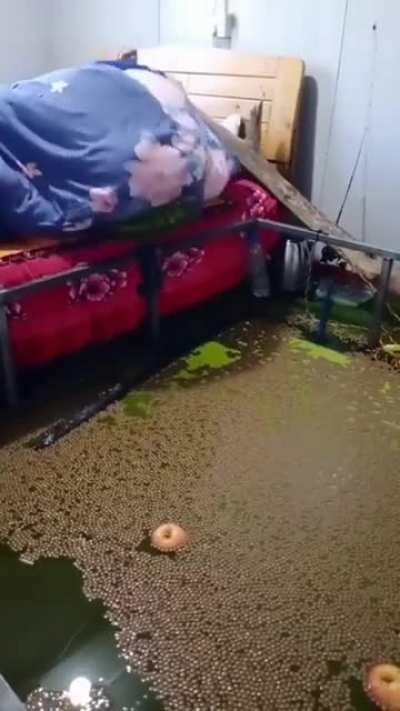 What just happened exactly?