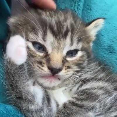 Просто задумался о бренности бытия