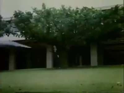 Celestial nighthawk users casting golden gun