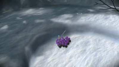 nothing can stop the distant tundra boulder