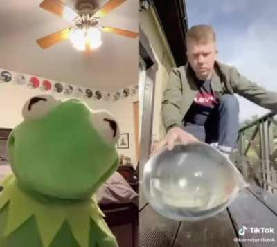 Kermit gone, are you?