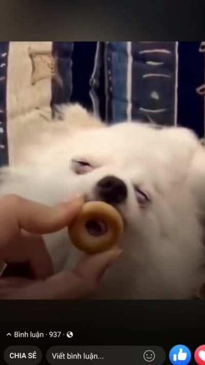 Blursed_Hmm lick the food