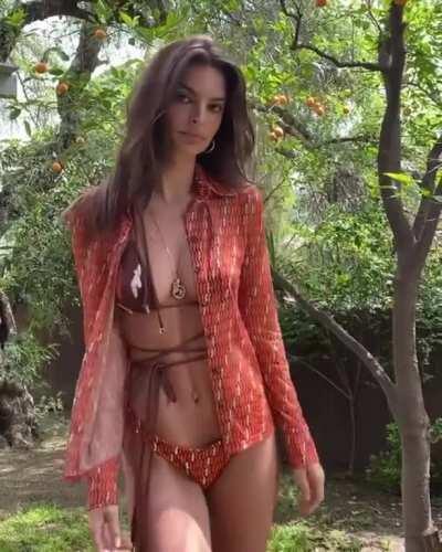 Showing us the Assets