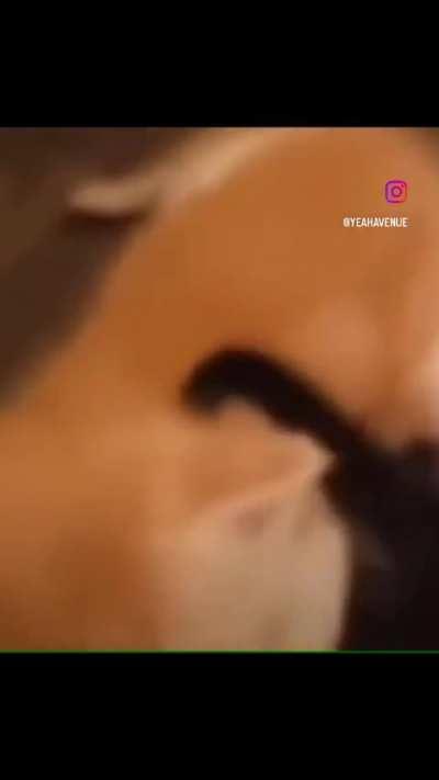 I would buy one though