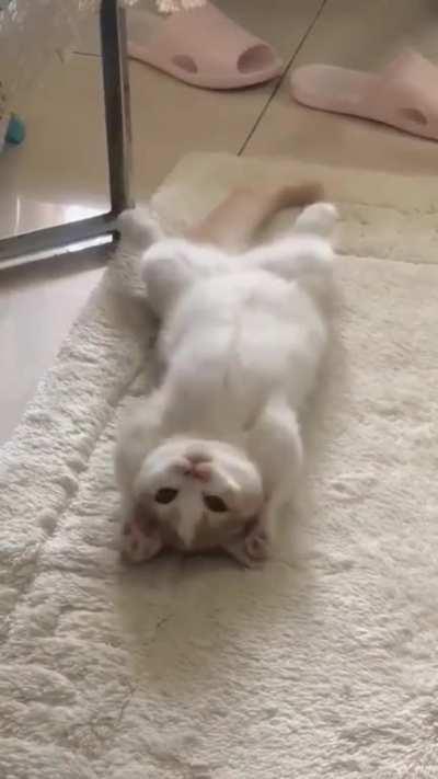 Lie back and let the world come to you