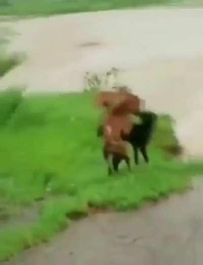 Never Miss The Opportunity 🗿🗿🗿