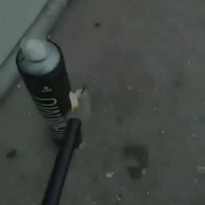 The bomb has been planted