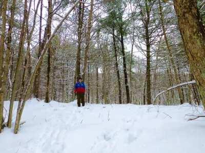 My Bottom 11 Least Favorite U.S. State Flags