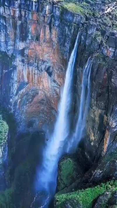 A Beautiful Springfield.