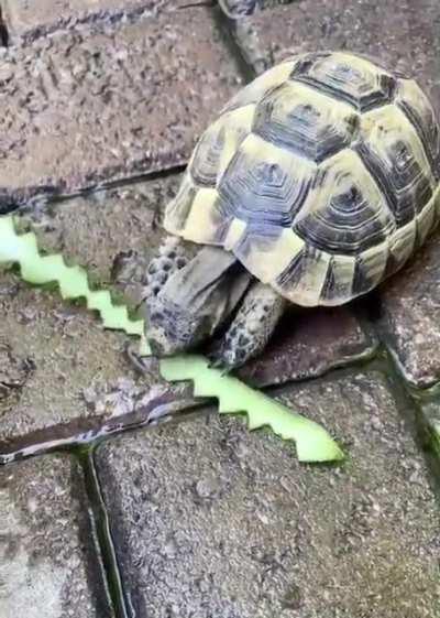 Still trying to determine if this unit is Turing complete: the write process works but the read process has issues.