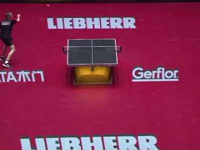 Greatest volley in the history of the world