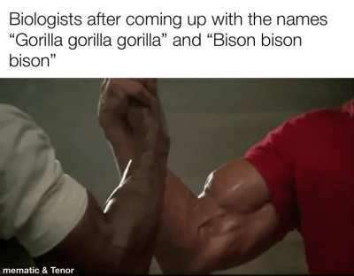 A hard days work at the office