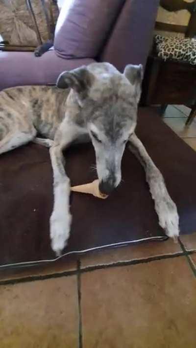 Do your boi a favour and give him an ice cream cone <3