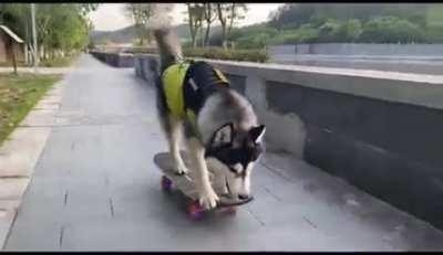 Come and experience the top suspension of Husky