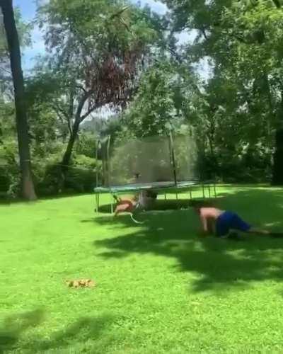 HMC while I do this zip line….