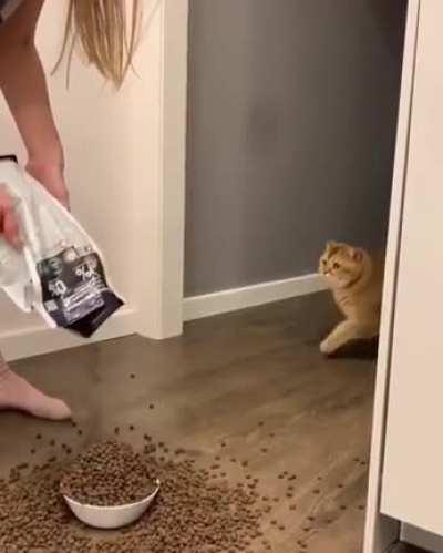 whats wrong with the human