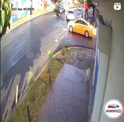 Pickup truck crash and near miss with dog