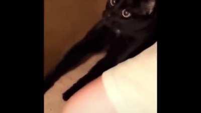 Yup you're being replaced