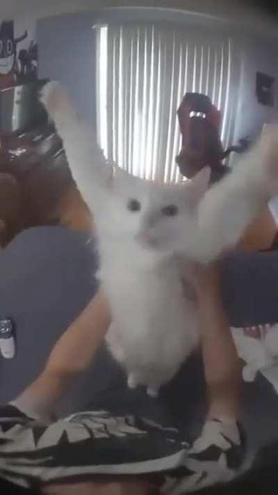 Hope you have a great day!