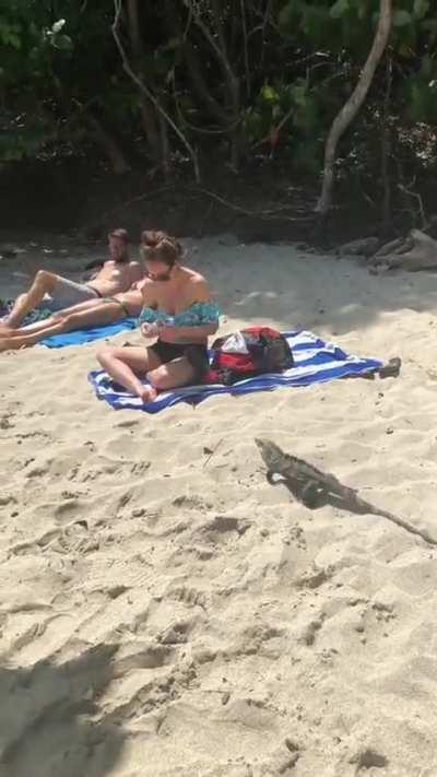 Having a relaxing day at the beach