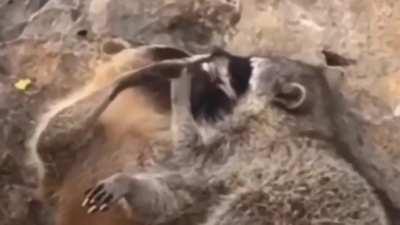 Enjoy Summer While It's Here 🌞