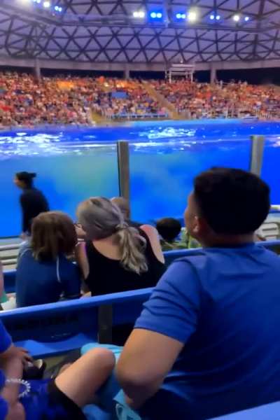 Fuck SeaWorld in particular