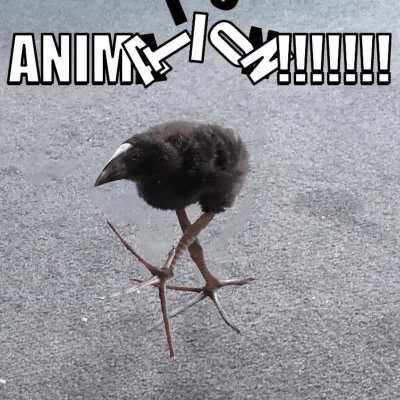 !!!AAmLP{:KP{jPOIHuiyFU?!