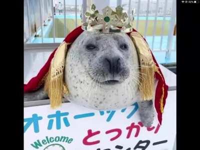 CAN WE GET MUCH HIYORI