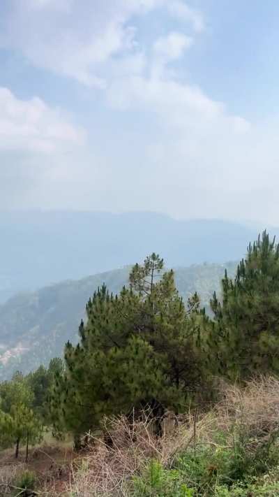 went on a bike ride pt 2