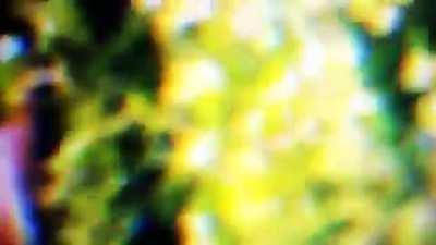 Probeer het later nog eens