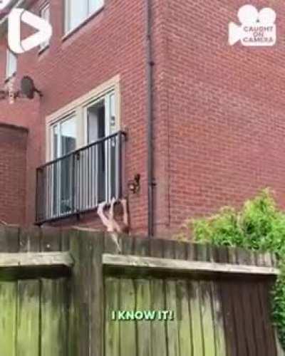 to hide her boyfriend (the dad run at the end of it is epic)