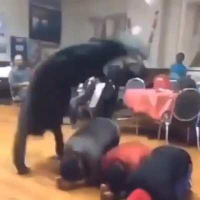 My friend wanted to know what song this was, any ideas?