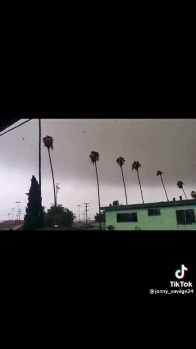 Tornado in South Central!