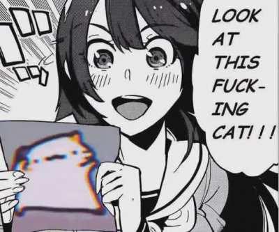 Jamming cat, jam with it