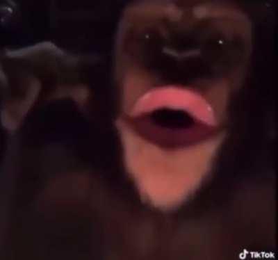 monke is ready to feast😈