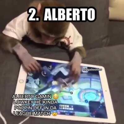 conozcan a mis panas 😛