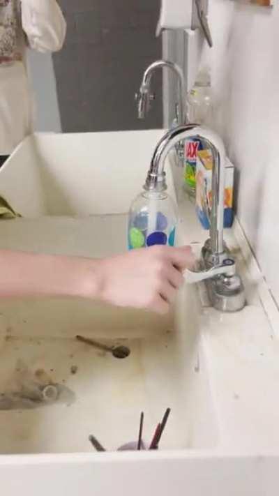 Well they are pretty smart