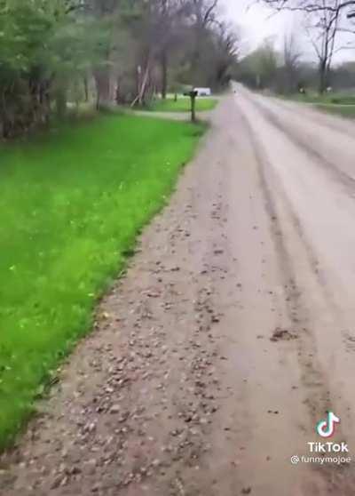 Dog gets zapped by electric fence.