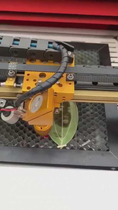 A highly detailed laser-engraved leaf art demonstration 