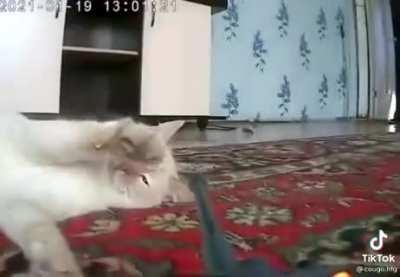 Comrade kot stopping the advancing Wehrmacht in Stalingrad.