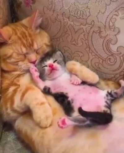 Here’s a couple of sleepy heads to brighten up your day