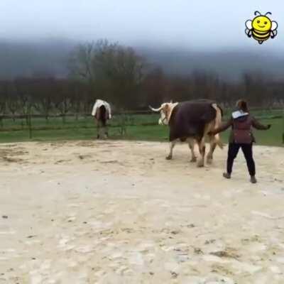 C'est le nouveau sport français