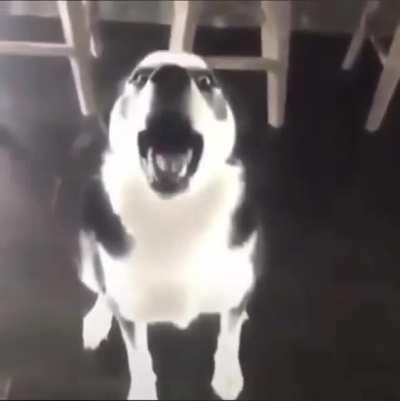 Someone got in trouble.