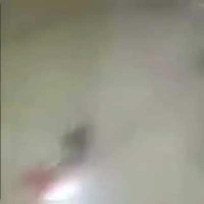 pobre ratito adm me perdoa