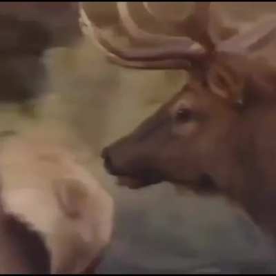 Столько горечи...