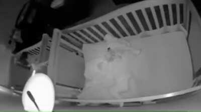 I wake up, I choose violence, I sleep again