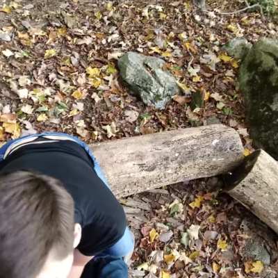 There is no better view while getting a blowjob!