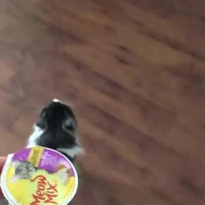 He do be screaming though